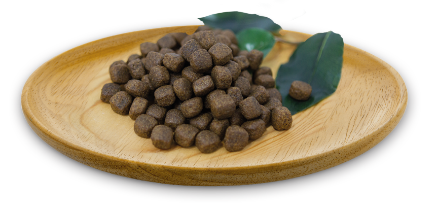 NATURAL GREATNESS Truthahn Rezeptur / Ultra Premium - Erwachsene - alle Rassen