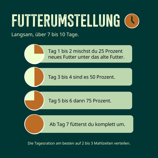 Trockenfutter Probierpaket