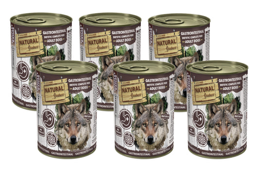 NATURAL GREATNESS Gastrointestinal/Verdauungs- und Darmabsorptionsprobleme (Set)