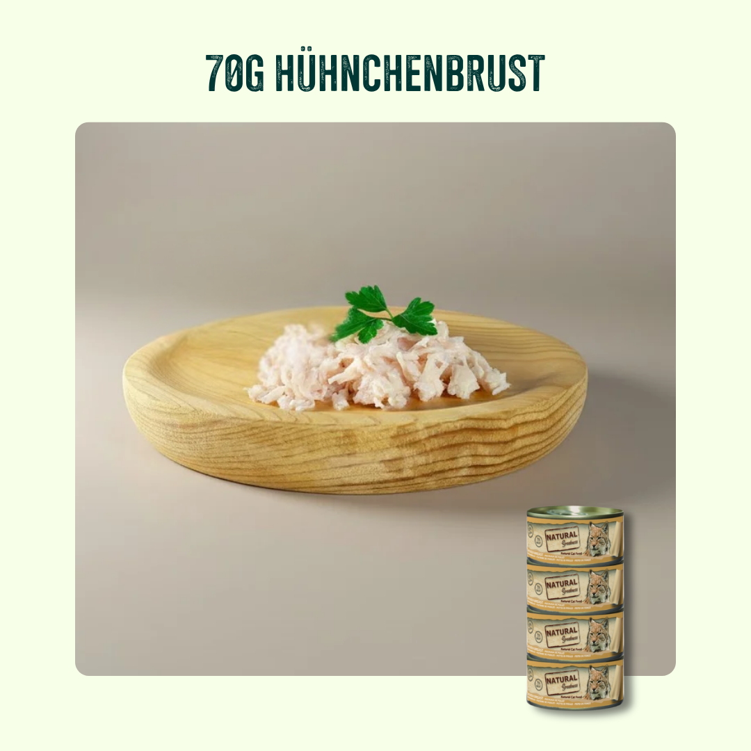 Wohnungskatze Probierpaket