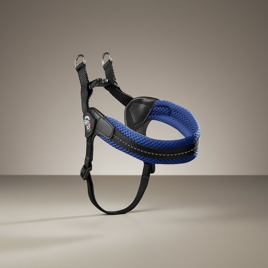 Lupiora Tre Ponti Easy Fit Hundegeschirr aus blauem Mesh mit reflektierendem Streifen und verstellbarem Brustband