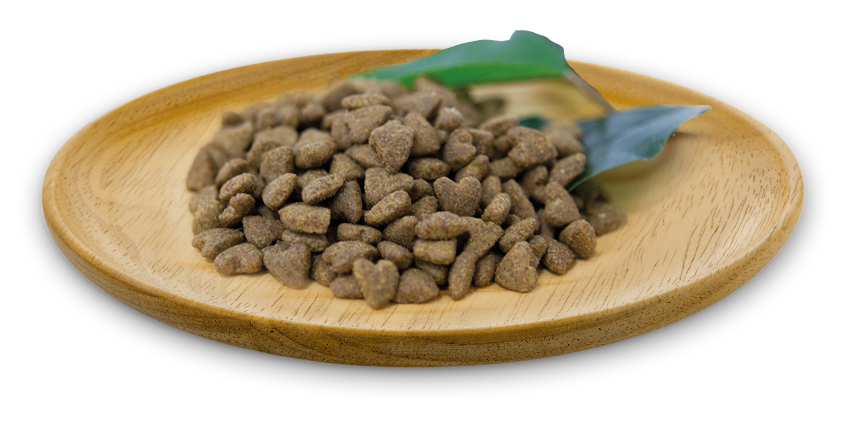 NATURAL GREATNESS "Atlantic Sea Recipe" / Ultra Premium - Erwachsene - Sterilisierte & Senioren - alle Rassen