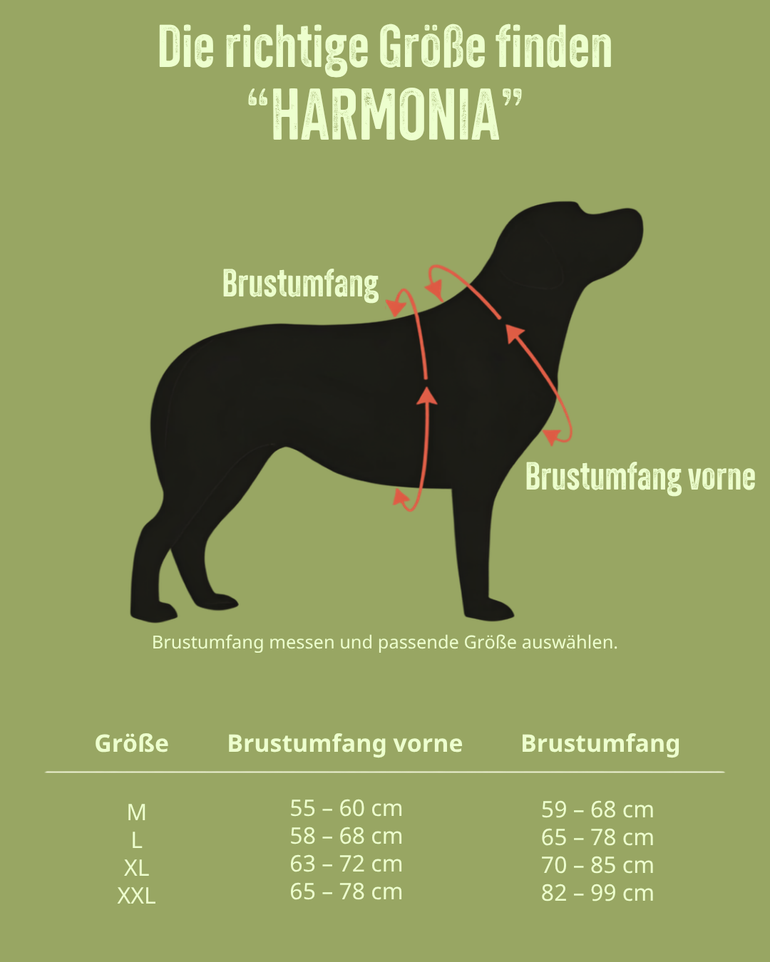 Größentabelle für TRE PONTI "Harmonia" – Verstellbarer Riemen