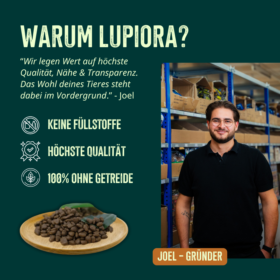 Trockenfutter Lamm Probierpaket