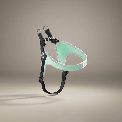Lupiora TRE PONTI Easy Fit Hundegeschirr in Mintgrün mit reflektierendem Rand für kleine und mittelgroße Hunde