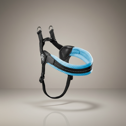 Lupiora TRE PONTI Easy Fit Hundegeschirr aus blauem Mesh mit reflektierendem Einsatz und verstellbarem Riemen